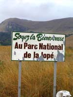 Au coeur des forêts gabonaises.