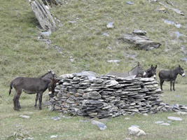 Géorgie, à l'ombre du Caucase