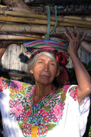 Découverte du Pays Maya