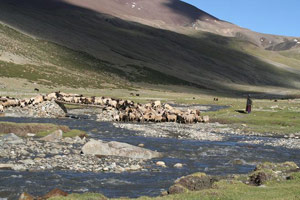Ladakh, Allez à l'essentiel