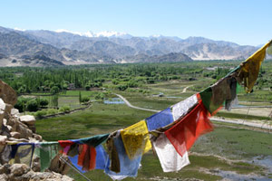 Trek chez les ladakhis 