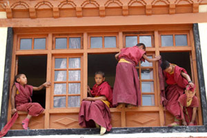 Trek chez les ladakhis 