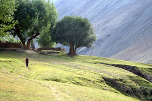 Trek chez les ladakhis 