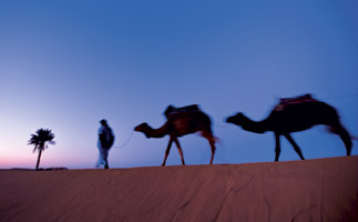 Clair de lune dans l’erg Chebbi  
