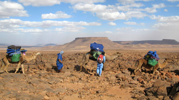 Clair de lune dans l’erg Chebbi  