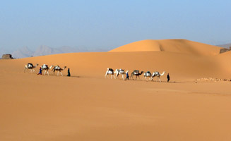 Clair de lune dans l’erg Chebbi  
