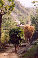 Tour des Annapurna et lac du Tilicho