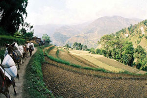 Annapurnas Express