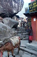 Annapurnas Express