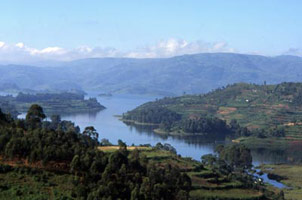 Gorilles, lacs et volcans (Ouganda+ Rwanda)