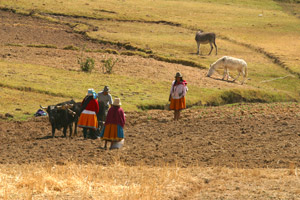 Terres Incas et Cordillère Blanche