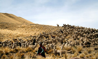 Chic et Choquequirao !