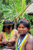 Les indiens des îles enchantées 