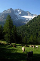 Tour de la Bernina