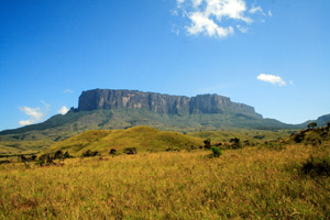 Les trésors du Roraima
