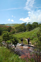 Les trésors du Roraima