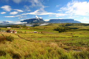 Les trésors du Roraima