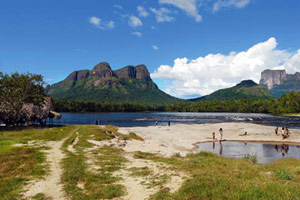Les trésors du Roraima