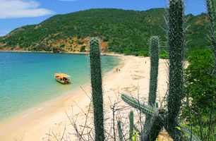 Paradis tropical !
