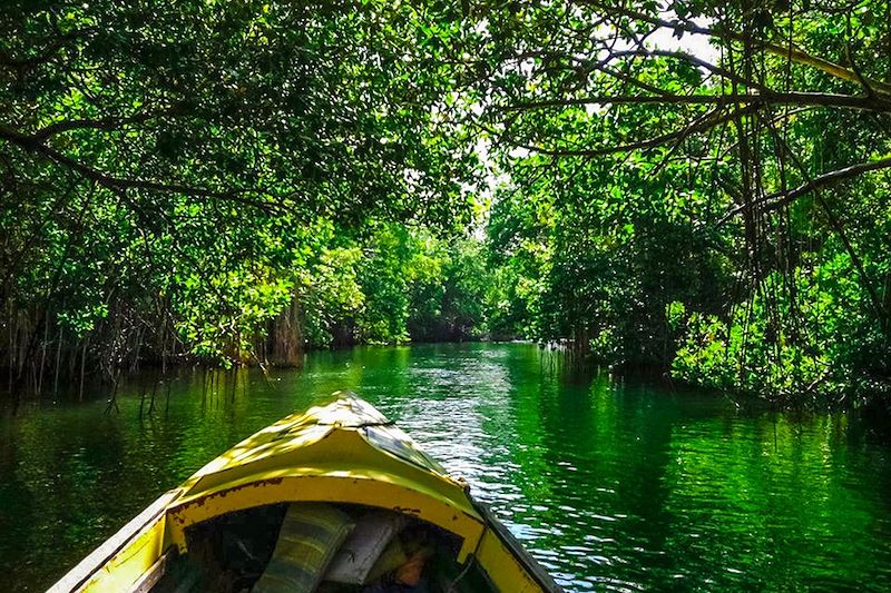 Safari bateau - Black River - Jamaïque