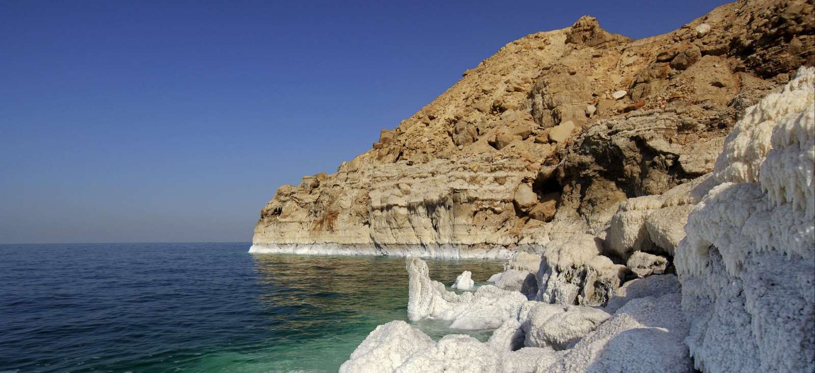Image Belle échappée en Jordanie
