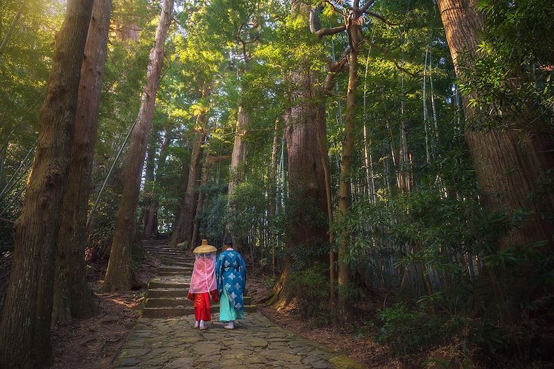 Pèlerins sur le Daimon-zaka, chemin menant au Kumano Nachi Taisha - Nachikatsuura - Wakayama - Japon