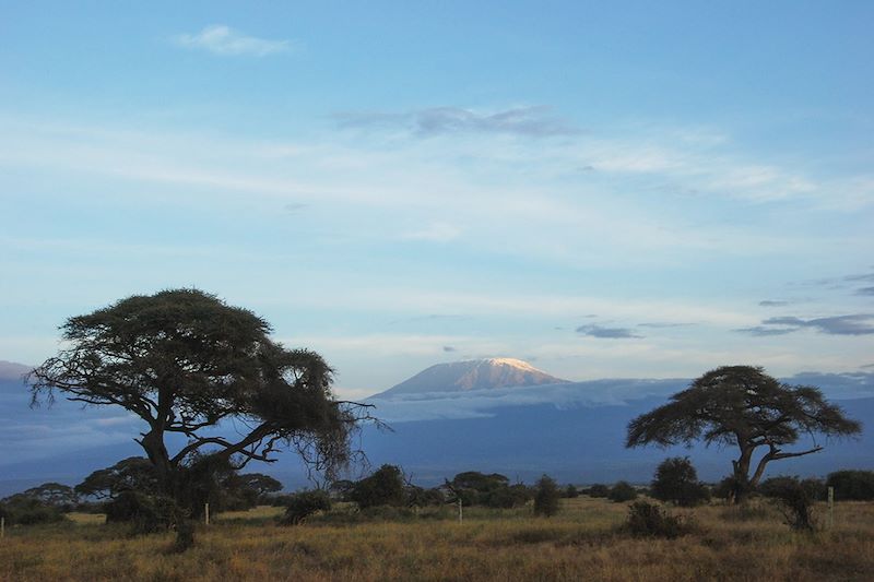 Vue sur le Kilimanjaro depuis le parc national d'Amboseli - Kenya