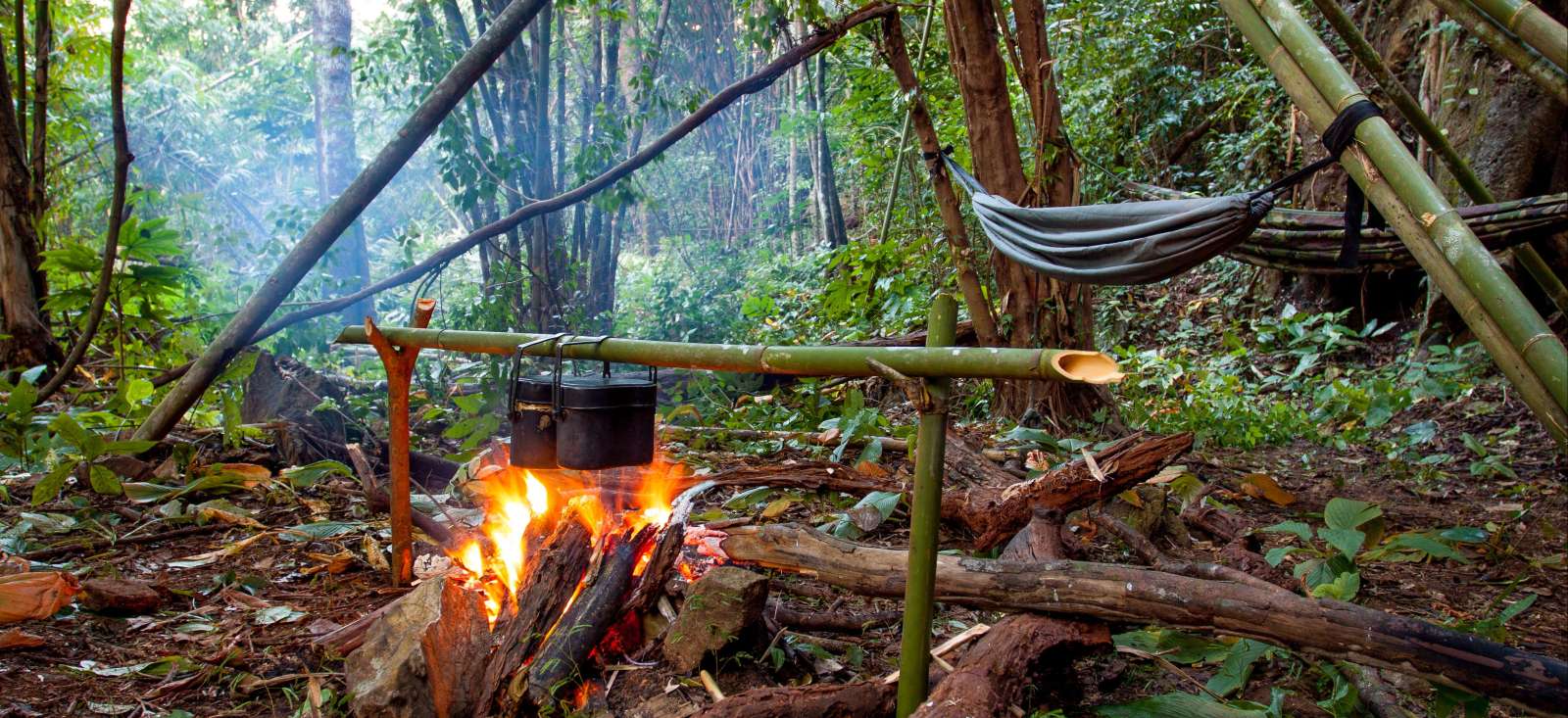 Image En pure immersion dans la jungle khmère !
