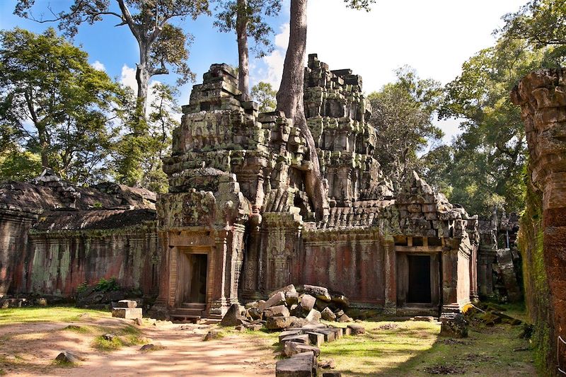 Temple de Ta Prohm - Cambodge