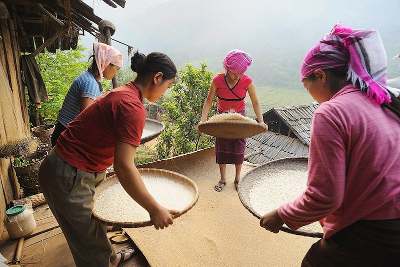 Femmes de la tribu des Phou Noy aérant le riz dans un village de la province de Phongsaly - Laos