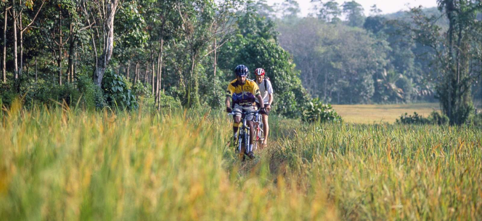 Voyage à vélo - En selle à Ceylan !