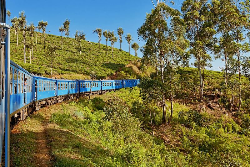 Un train cheminant entre Nuwara Eliya et Colombo - Sri Lanka