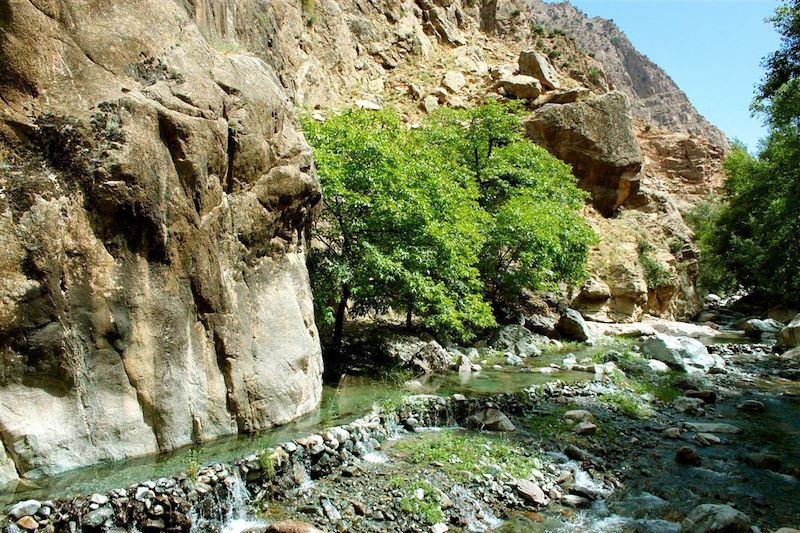 Ruisseau dans la vallée du Zat - Maroc