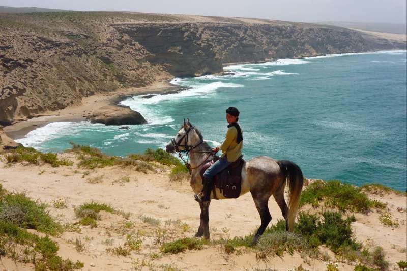 Image Il était une fois dans l'oued !