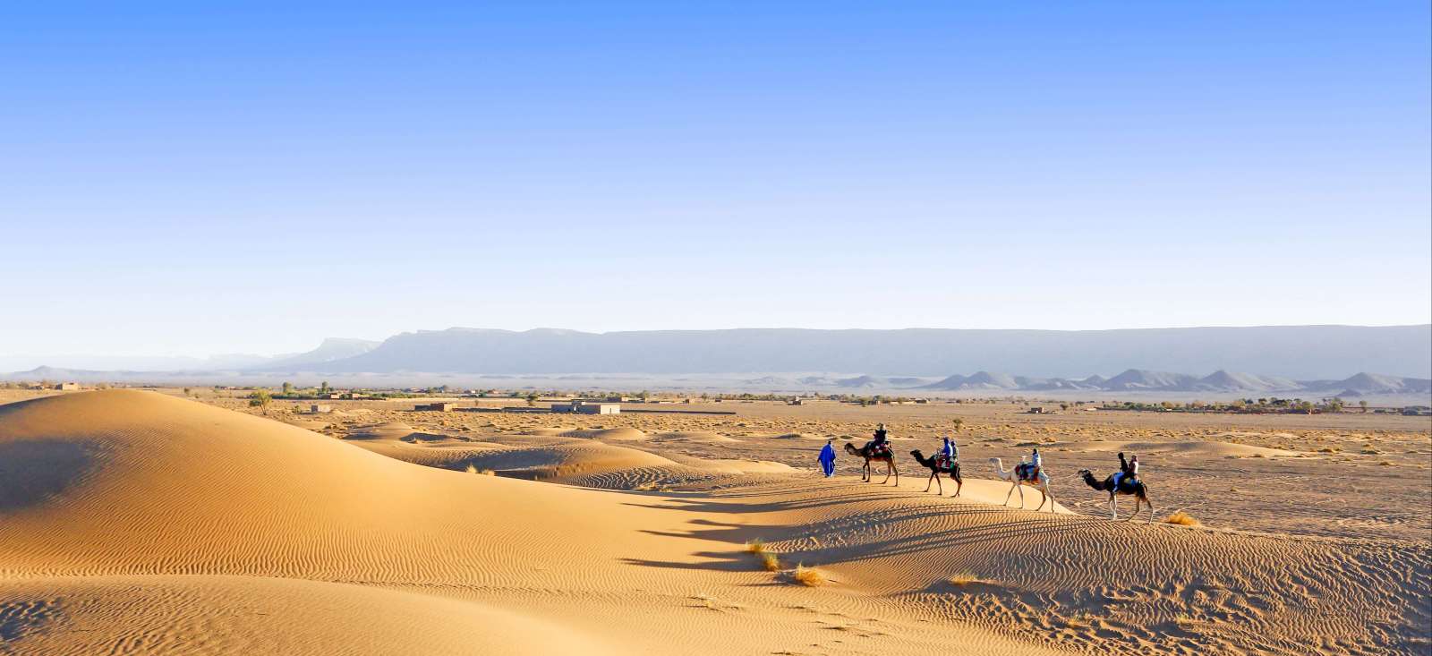 Image Mon chameau Ă l'assaut des dunes