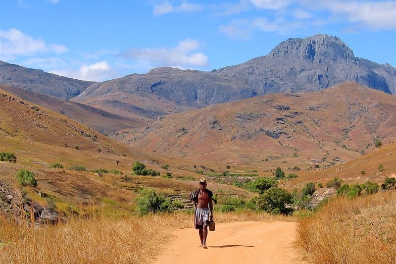 Parc National de l'Adringitra  - Madagascar