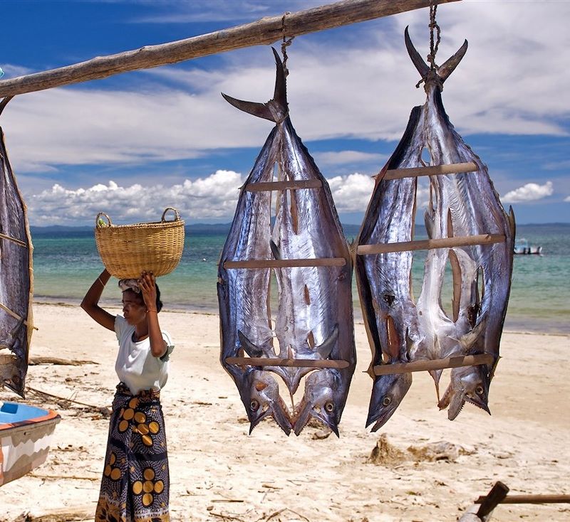 Séchage du poisson sur la plage d'Ambatoloaka - Nosy Be - Madagascar
