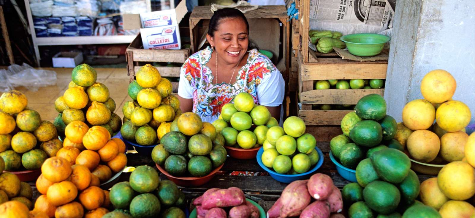 Image Combiné Yucatan et Chiapas