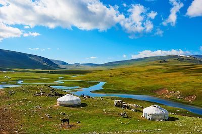 voyage Un été en Mongolie !
