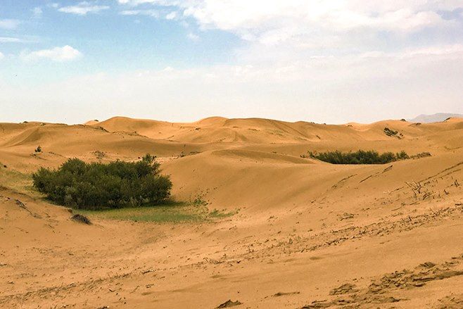 Dunes d'Elsen Tasarkhai - Mongolie