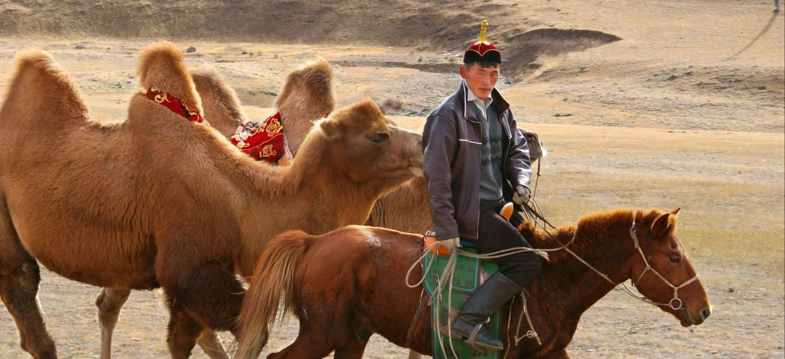 Image La Mongolie, mi-rando, mi-cheval...