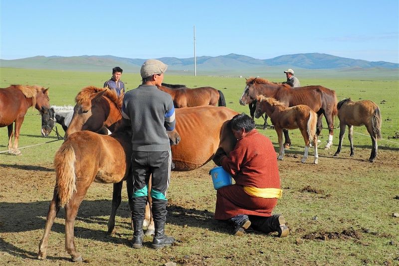 Le parc naturel de Khorgo – Terkhiin Tsagaan Nuur - Mongolie
