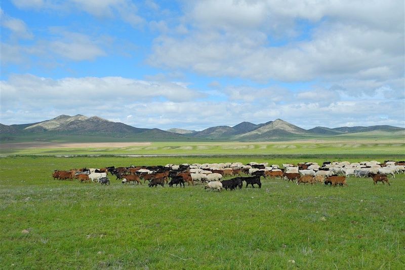 Vallée d'Orkhon - Province de l'Ovorkhangai - Mongolie