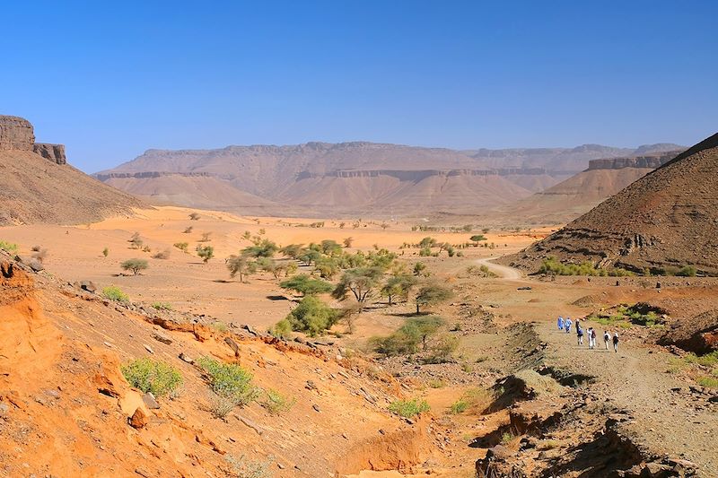 Oasis de Terjit - Adrar - Mauritanie