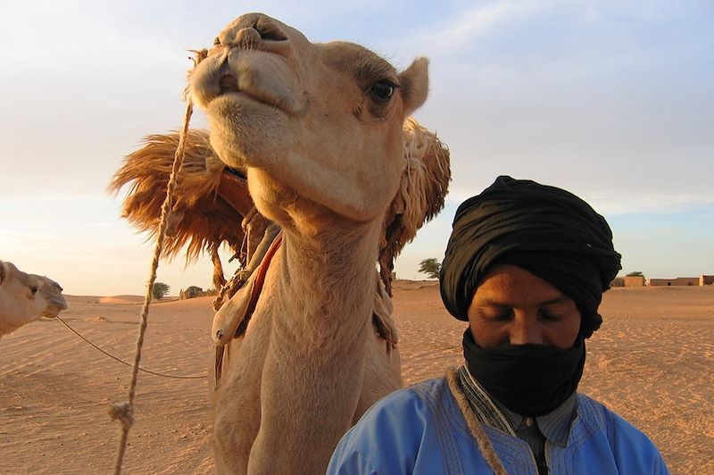 Chamelier à Chinguetti - Adrar - Mauritanie