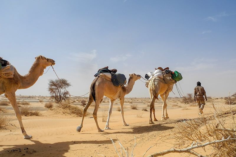 Dunes de Lemgualeg - Mauritanie