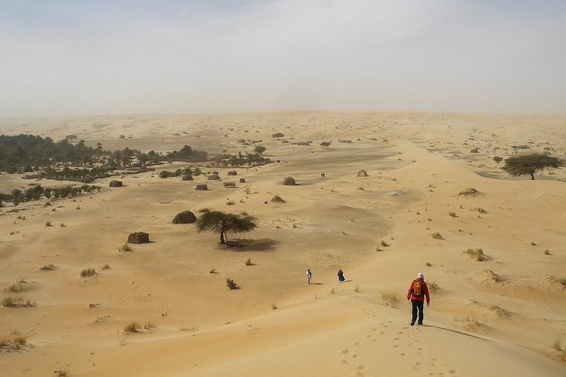 Oasis de Lagueila - Mauritanie