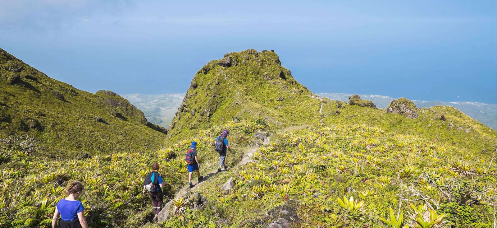Trek Martinique : Best of Martinique Trek - Best of Martinique