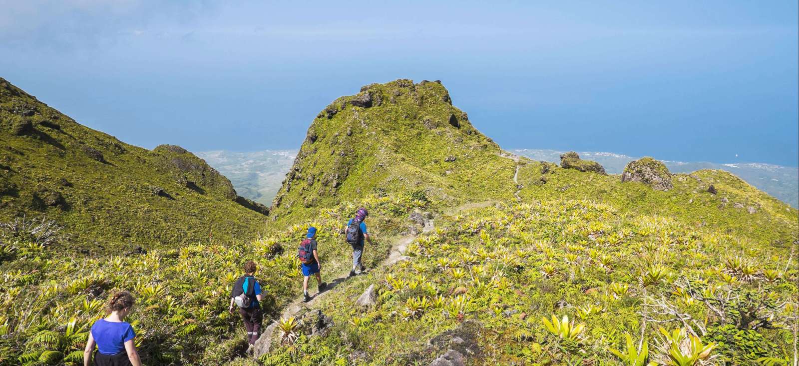 Trek - Best of Martinique