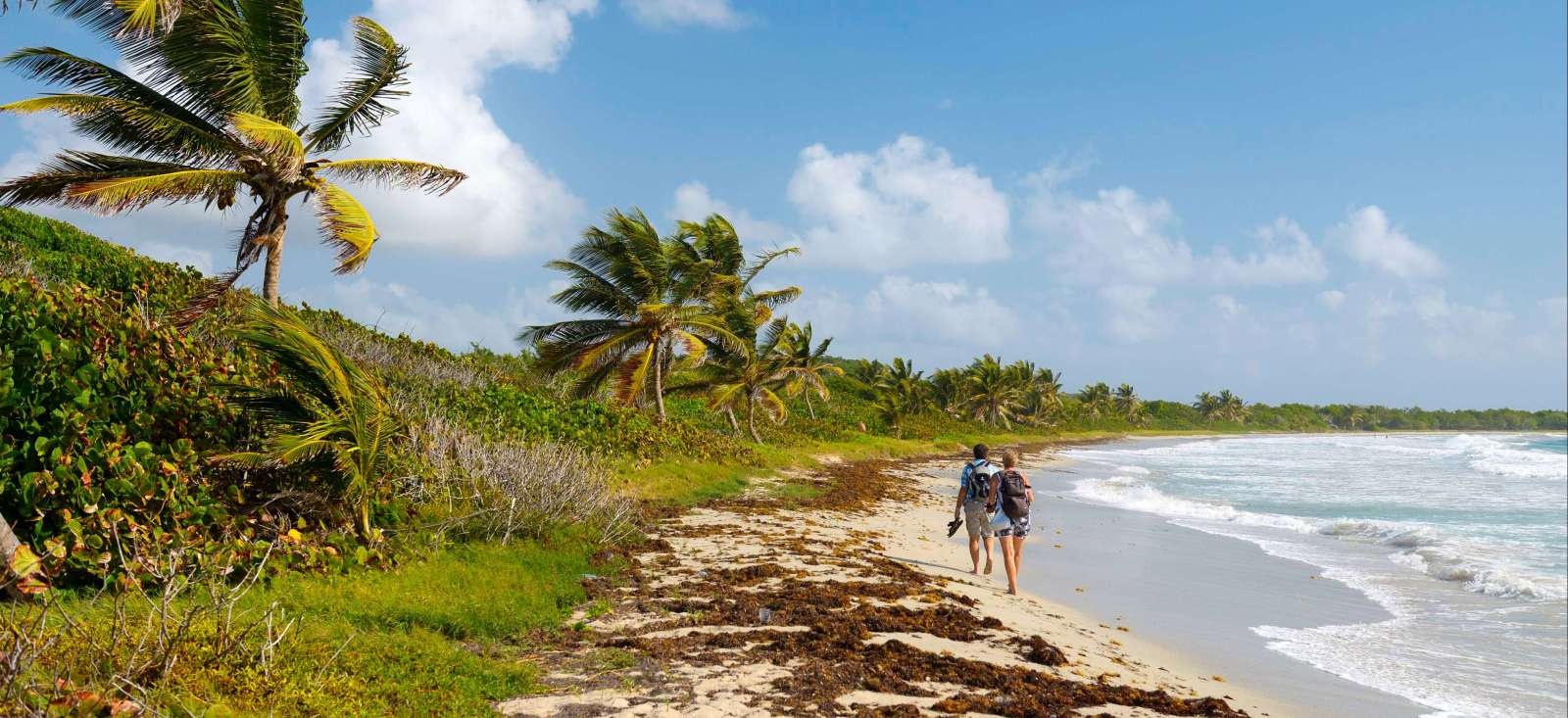 Image La Martinique, perle de la Caraïbe...